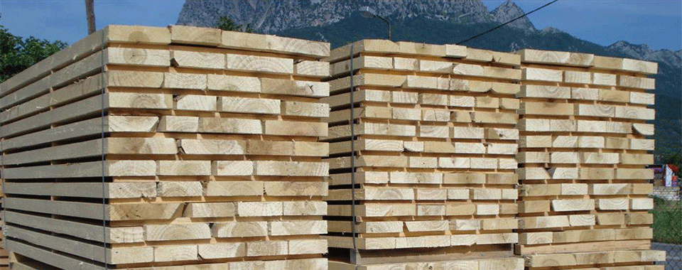 Κυψέλες Μετσόβου Χρόνης